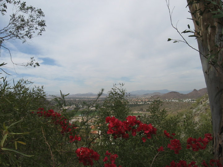 Hilton view