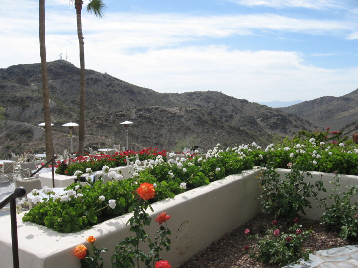Hilton View3