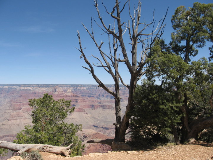 GrandCanyon 019