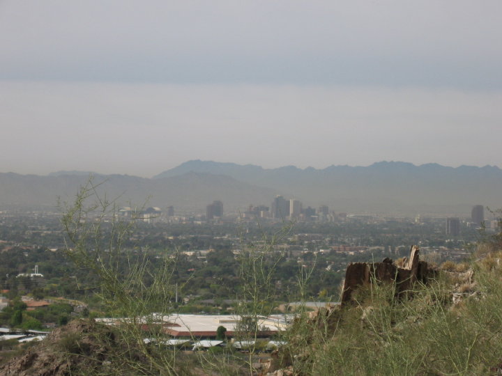 Phoenix 001
