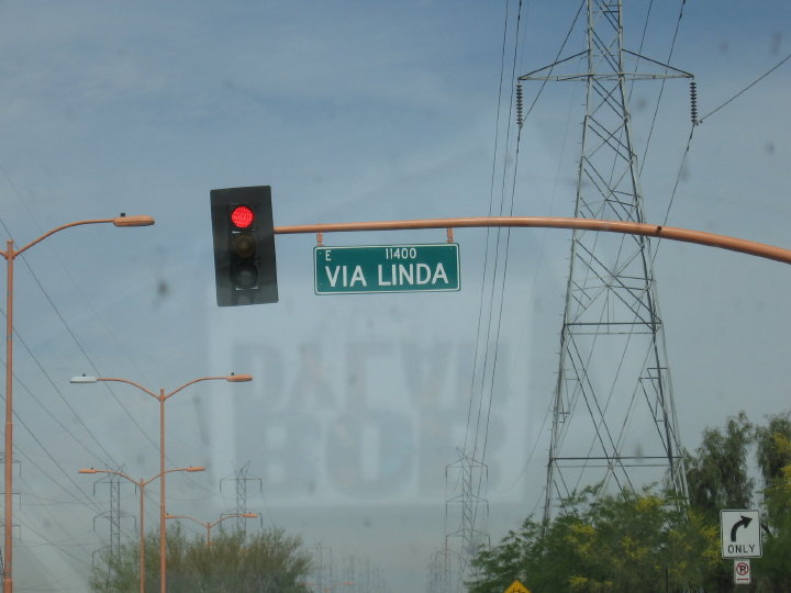 Phoenix 008