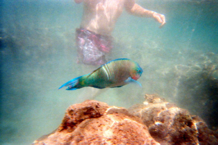 Hawaii and LA 369