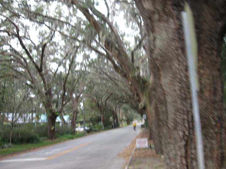 New Smyrna050