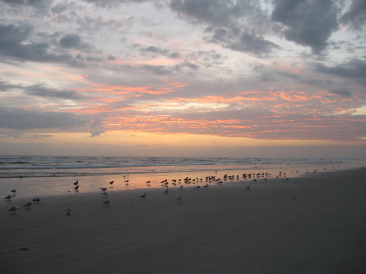 New Smyrna055