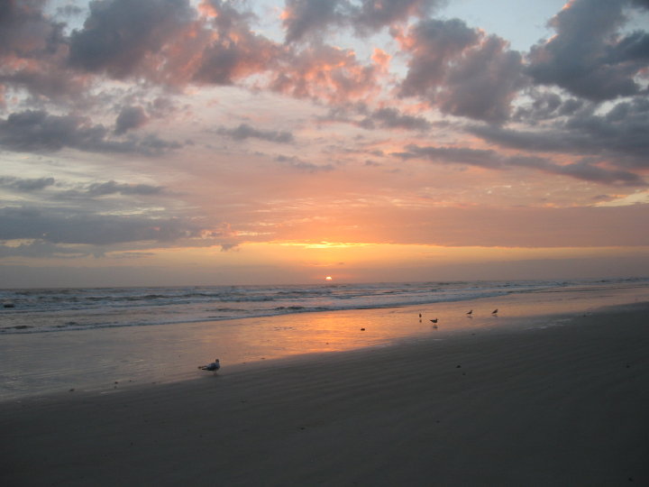 New Smyrna057
