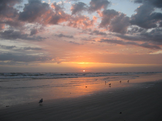 New Smyrna058