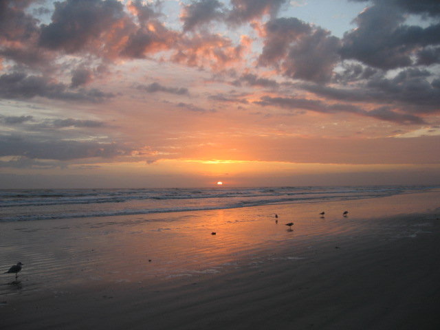 New Smyrna059