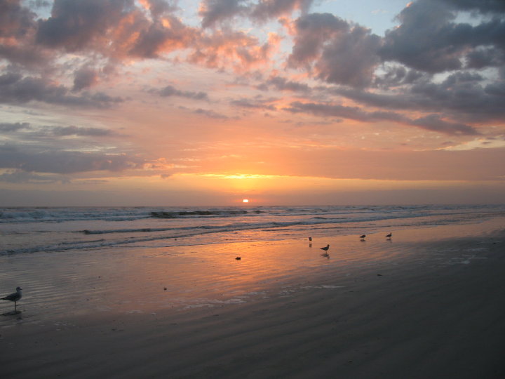 New Smyrna060