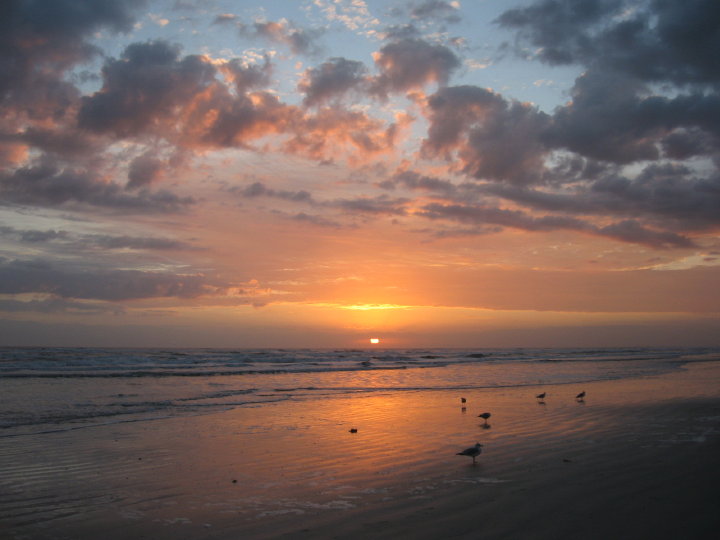 New Smyrna061