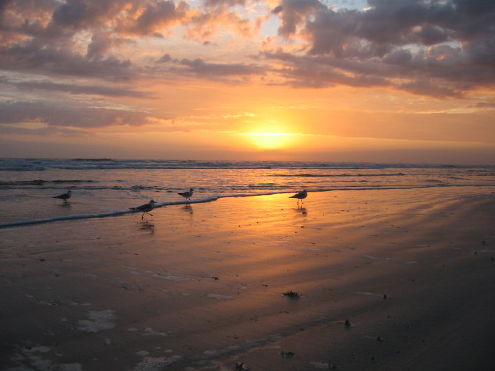 New Smyrna064