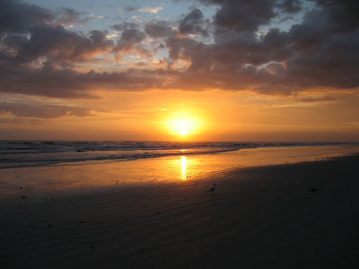 New Smyrna066