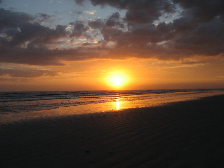 New Smyrna067