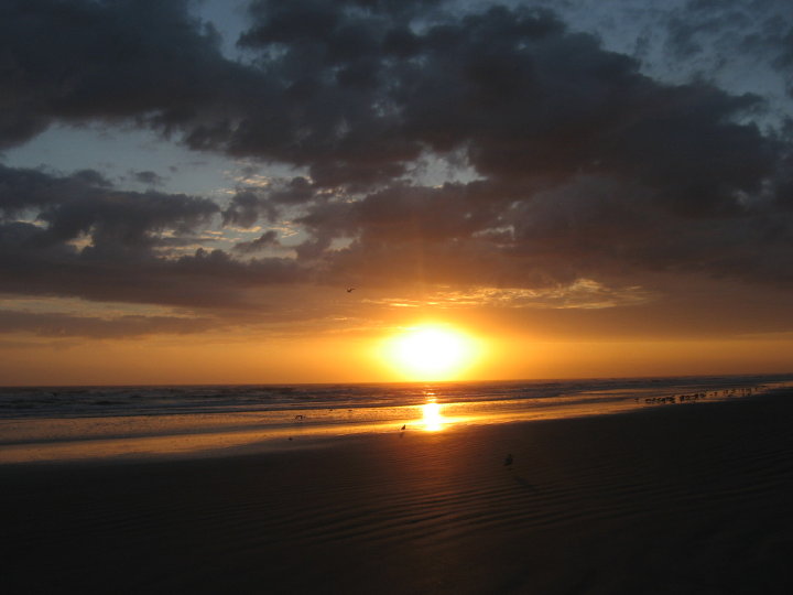 New Smyrna072