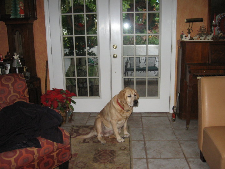 New Smyrna096