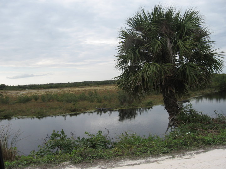 New Smyrna 002