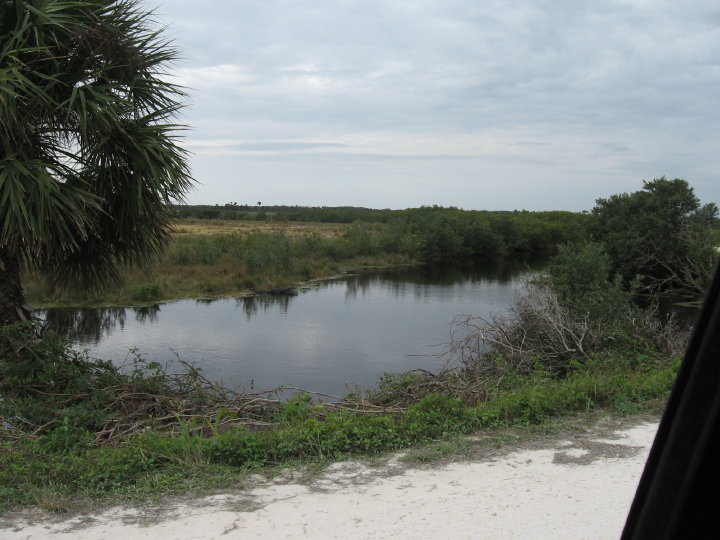 New Smyrna 003